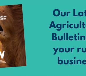 Our latest Agricultural Bulletin will keep your business MOO-ving